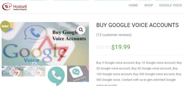 WPHostSell Googe Voice Seller With Bitcoin